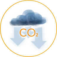 Decarbonization_white_circle