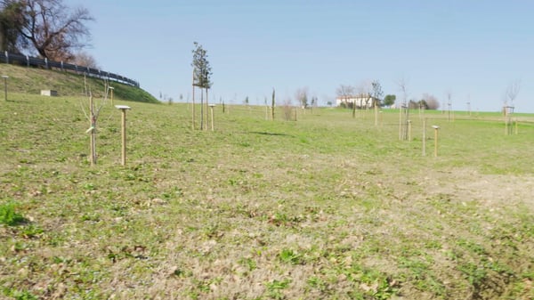 Box Marche employe plantation