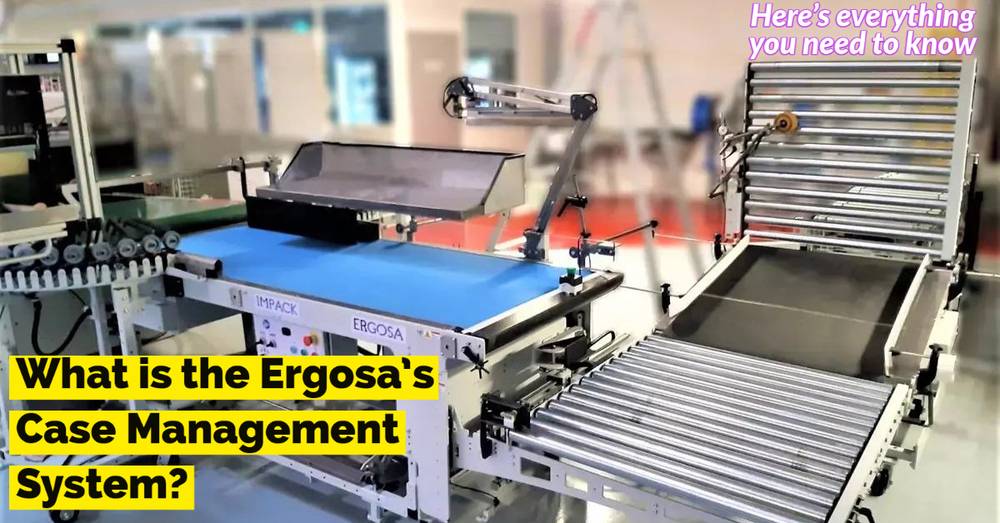 什么是Ergosa的纸箱管理系统，它是如何工作的？